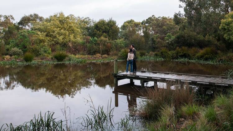 Two people stand looking out over wetlands