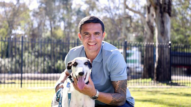 Tim Cahill and a greyhound