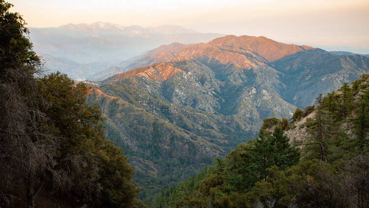 Mt. Wilson Observatory