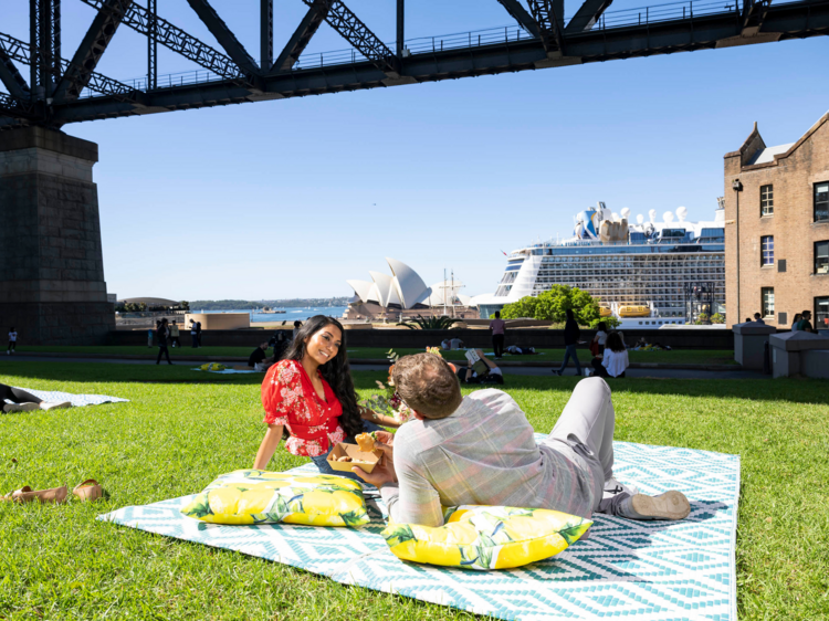 Picnic Under the Harbour Bridge