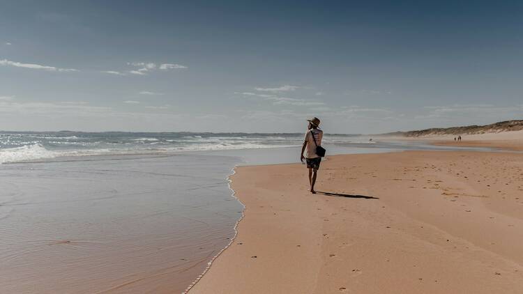 Discover Phillip Island’s rugged beauty