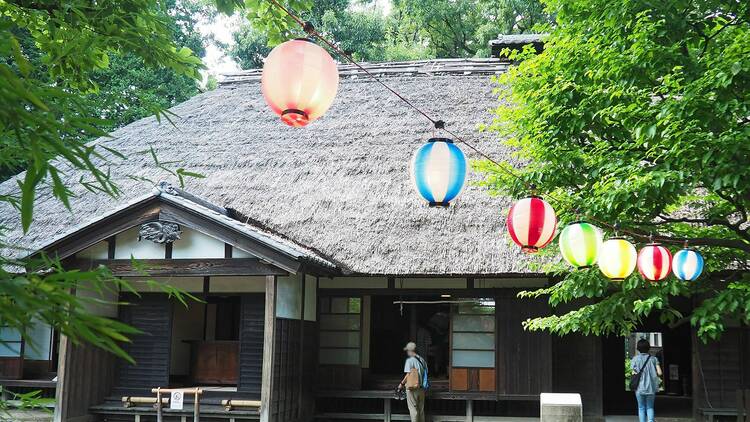 夜間特別開園 たてもの園 下町夕涼み