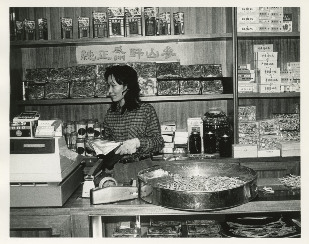 A female clerk inside Ginseng Store, Chinatown in 1988