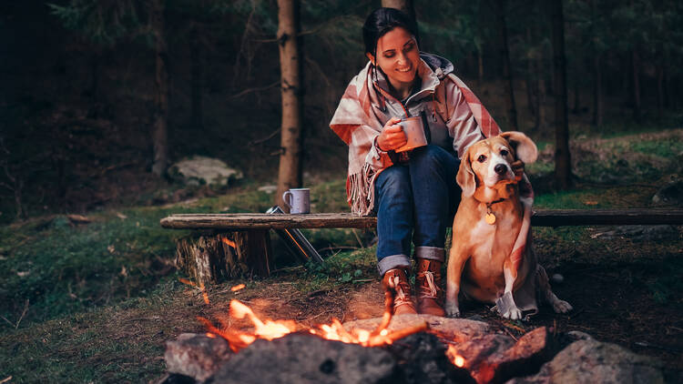 Camping with your dog