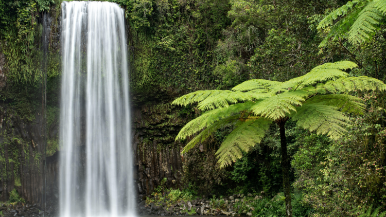 Millaa Millaa Falls, QLD