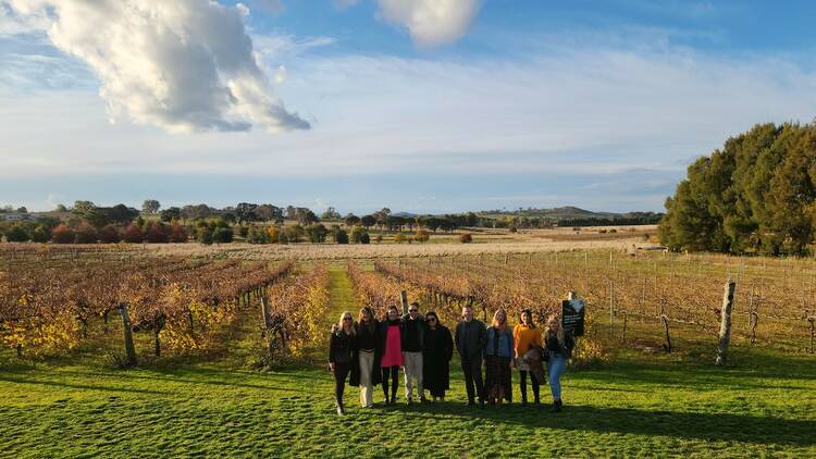 A group of people stand in a line at a vineyard