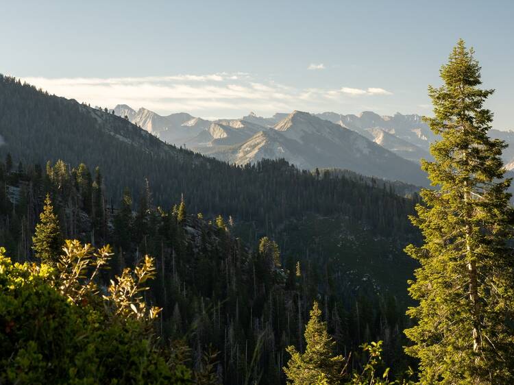 The High Sierra (plus Sequoia & King's Canyon National Parks)
