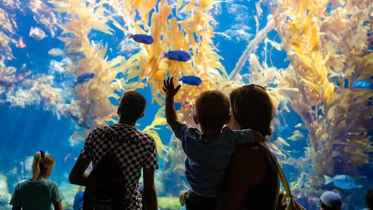 Birch Aquarium at Scripps