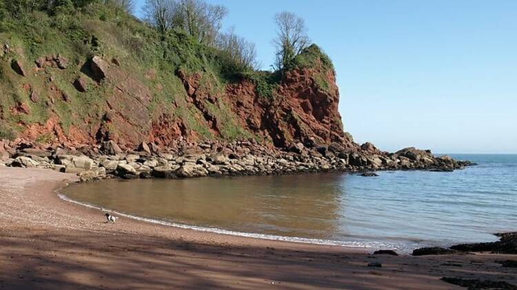 Watcombe Beach, Devon