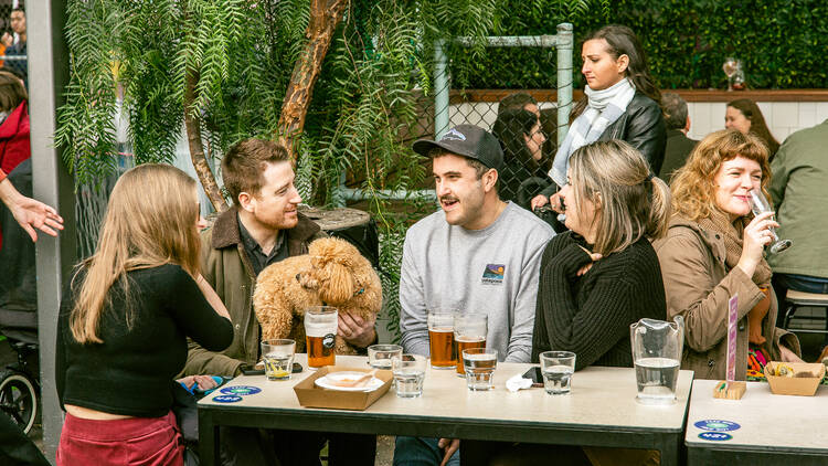 Group gathered around a table with a dog, pints of beer and food truck meals in a beer garden.