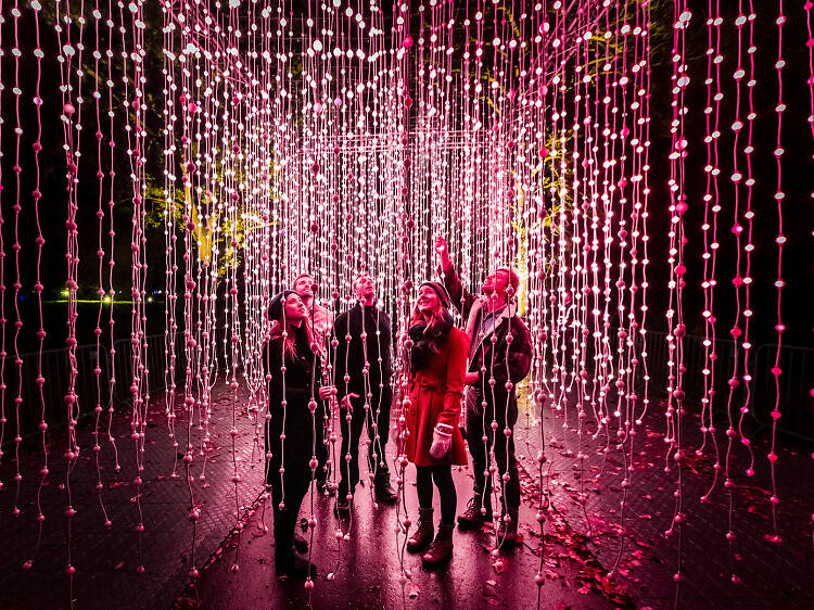 Be dazzled by Lightscape at Brooklyn Botanic Garden