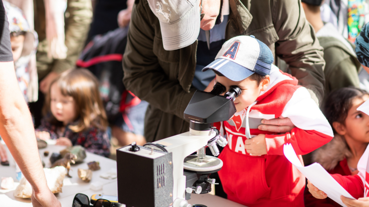 A child looking through a microscope