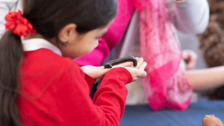 A girl in a red jumper holding a caterpillar