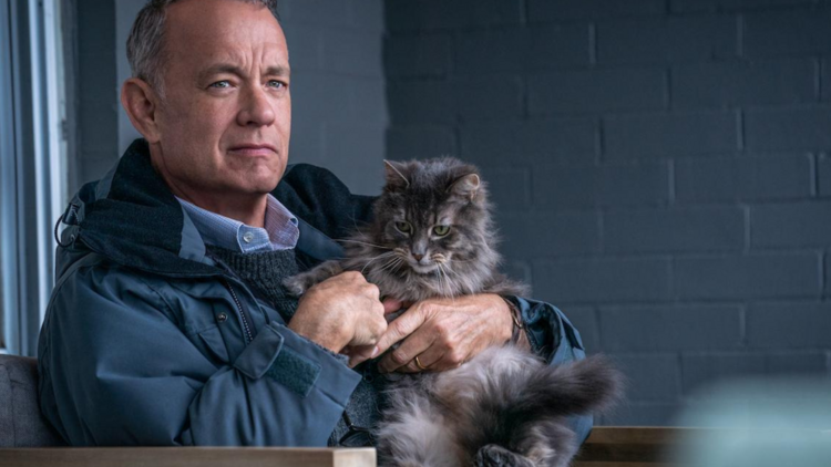 Um Homem Chamado Otto Tom Hanks
