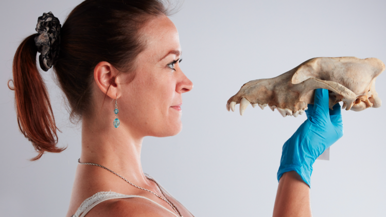 A woman holds an animal skull next to her head.