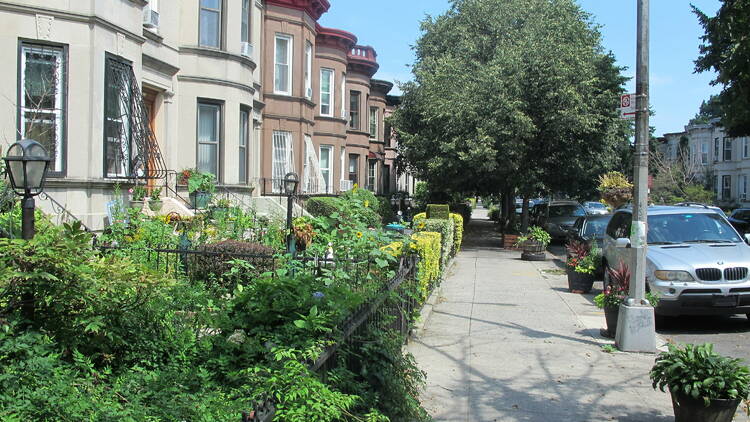 Greenest Block in Brooklyn 2023's 1st place in the residential category, 300 East 25th Street Block Association, East 25th Street between Avenue D & Clarendon Road.