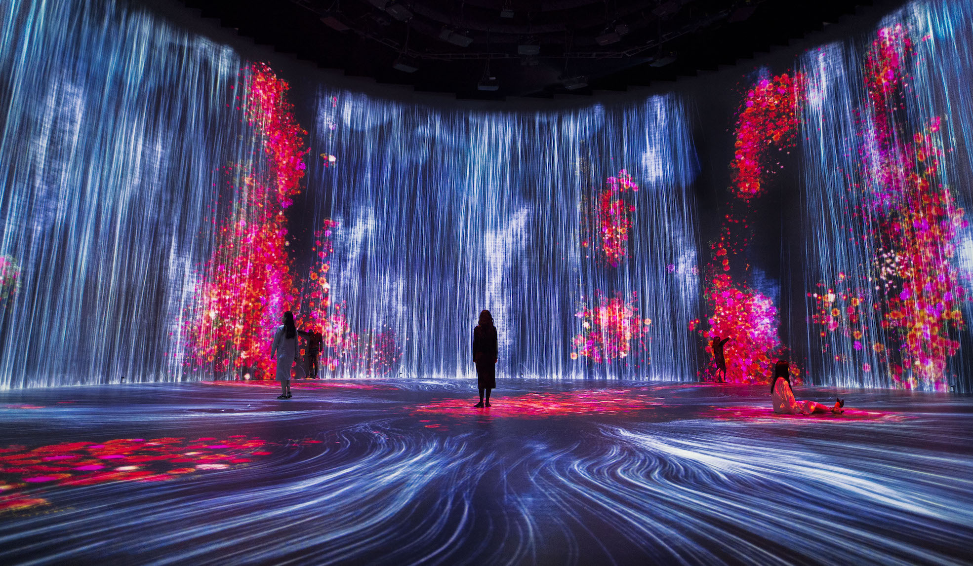 「Universe of Water Particles, Transcending Boundaries」「花と人、コントロールできないけれども共に生きる」 © チームラボ