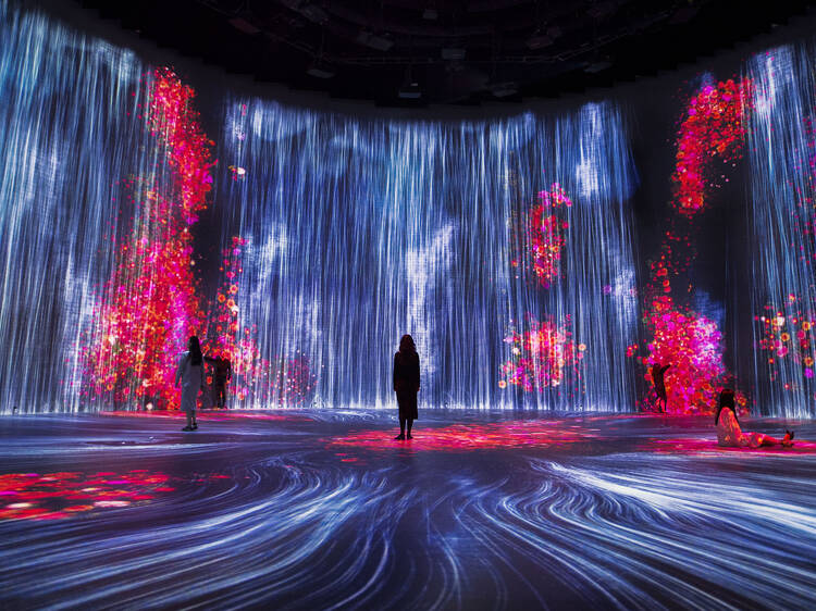 The new teamLab Borderless museum is reopening in January 2024