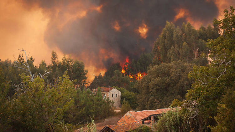 Wildfires in Portugal