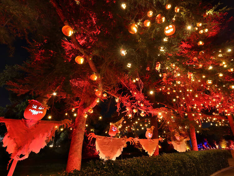 The 61 best things to do in Los Angeles right now