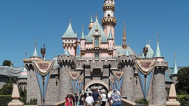 The Disneyland castle. 