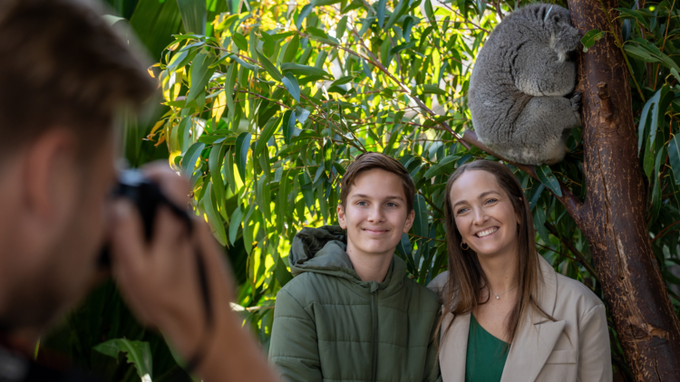 A girl and a boy posing in front of a koala in a tree
