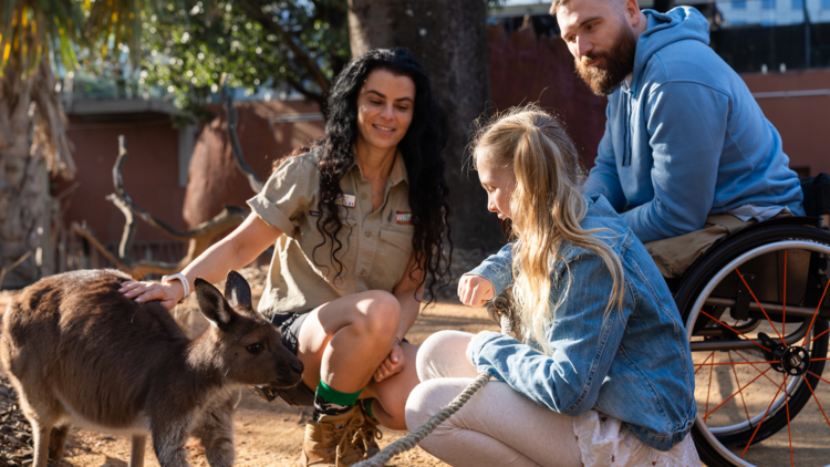 A girl and a man in a wheelchair with a kangaroo and a zoo staff member