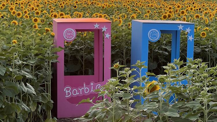 Happy Day Farm’s Barbie photo opps