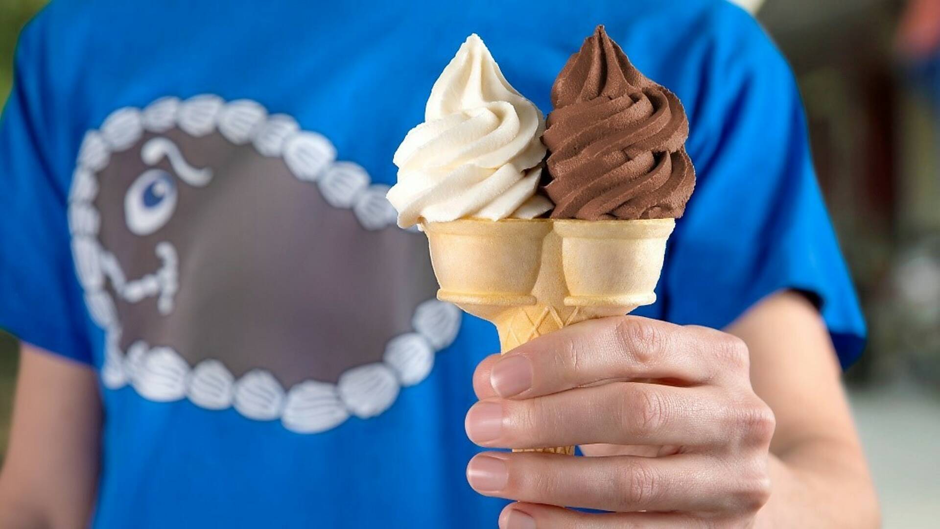 Carvel Free Cone Day 2025