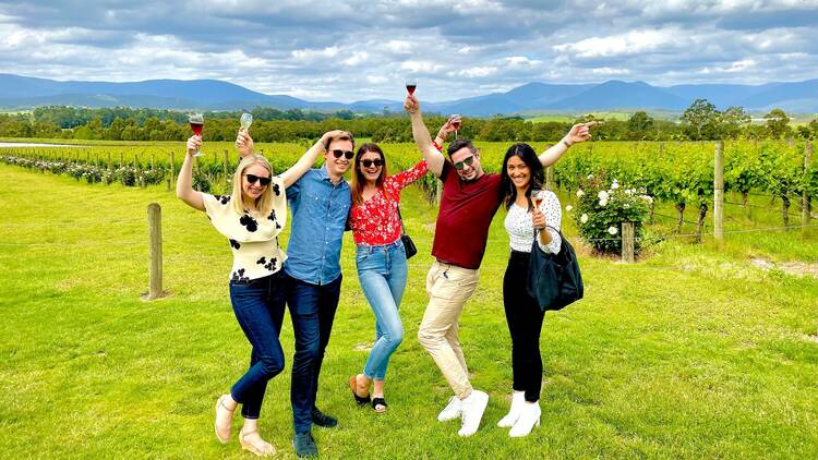 A group of men and women hold up wine glasses in a vineyard