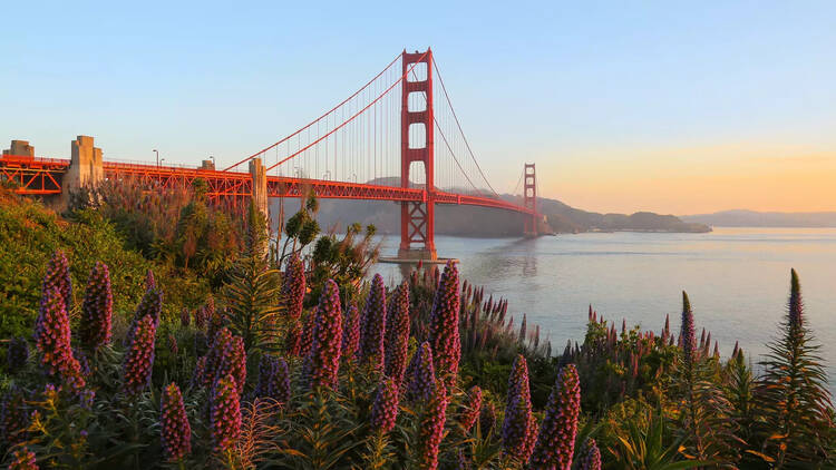 Golden Gate Bridge | San Francisco, CA