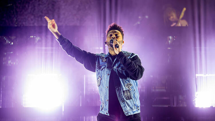 The Weeknd performing live in 2013