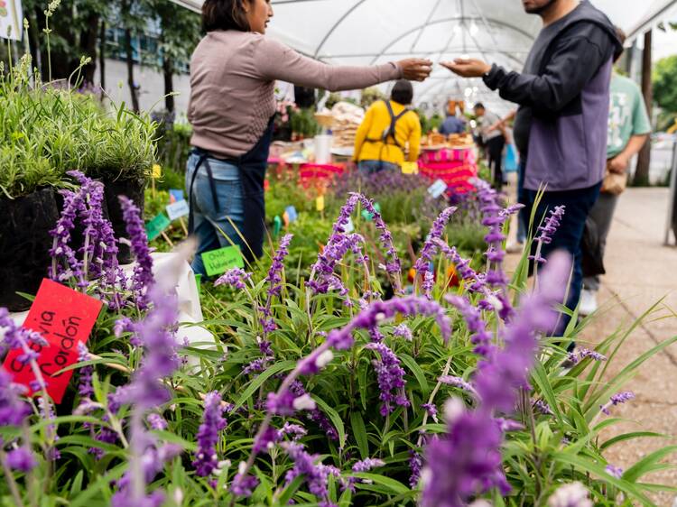 Mercado de Flores de Xochimilco