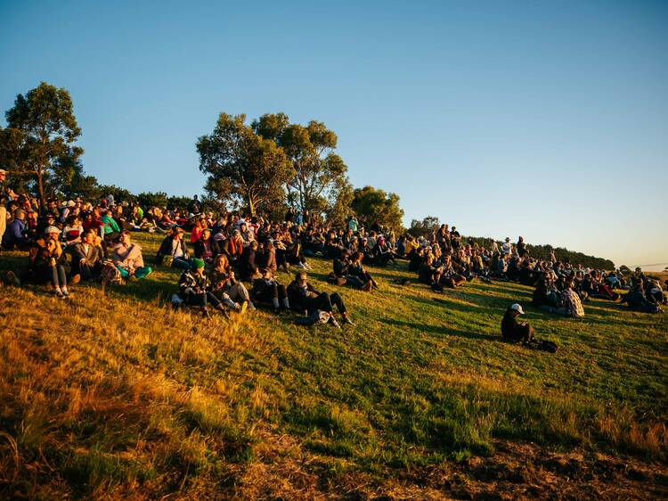Golden Plains