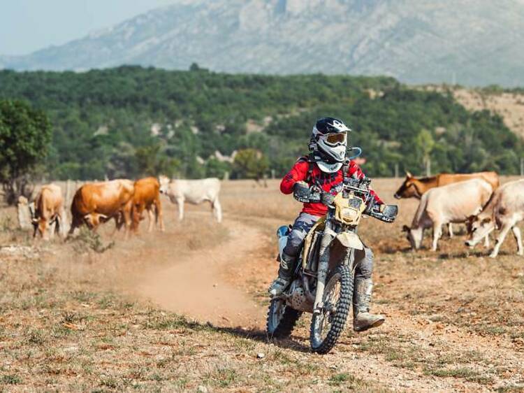 Motocross attracts crowds to Knin for dramatic Dinaric Rally