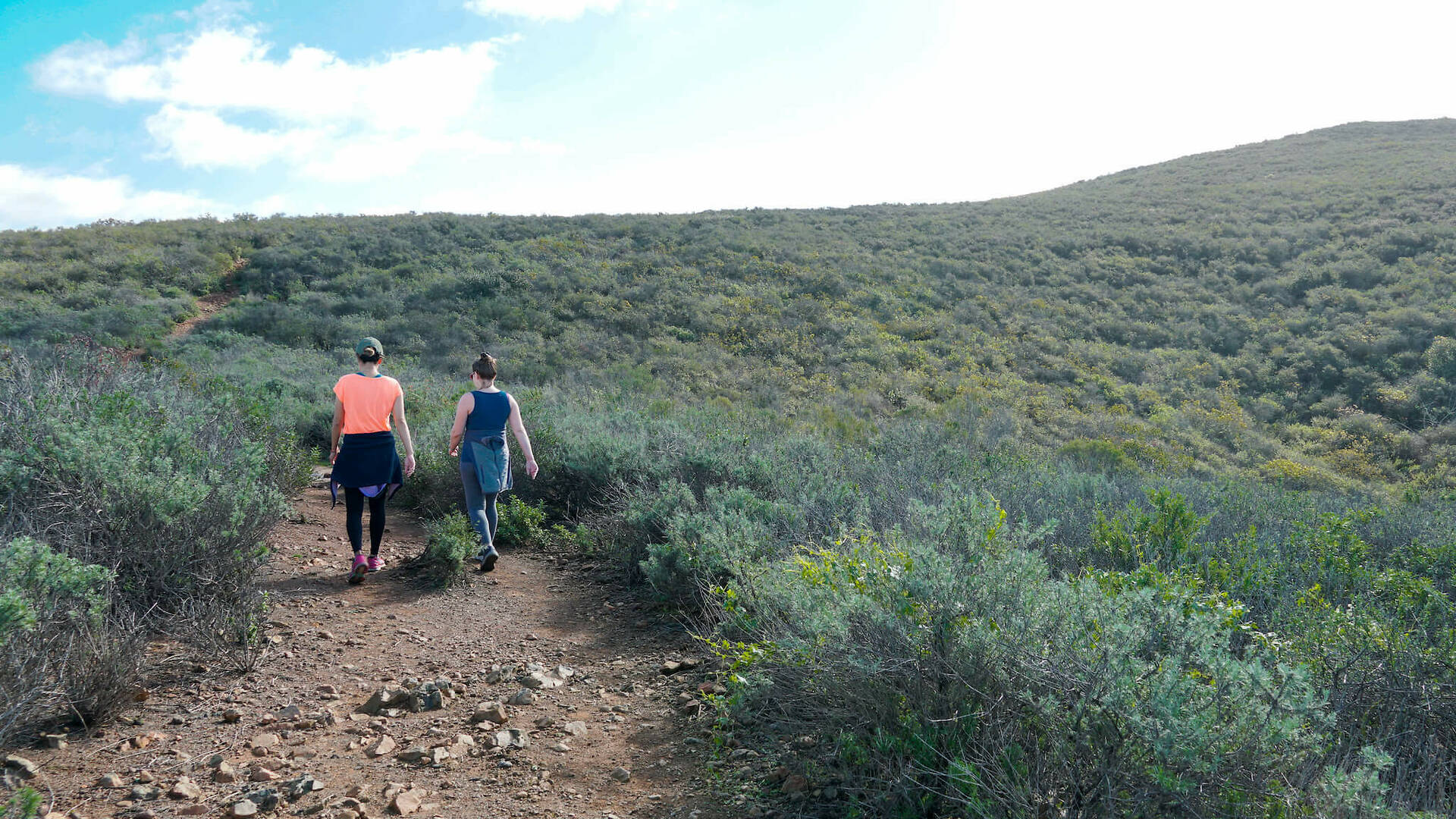 9 Best Spots for Hiking in San Diego, From Scenic to Instagrammable