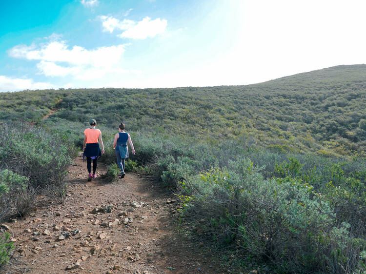 The 9 Best Places to Go Hiking In and Around San Diego (by a Local!)