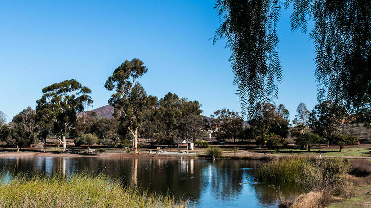 Mission Trails Regional Park