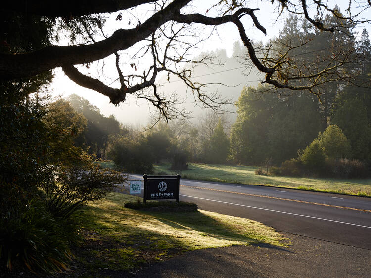 Sonoma County, CA