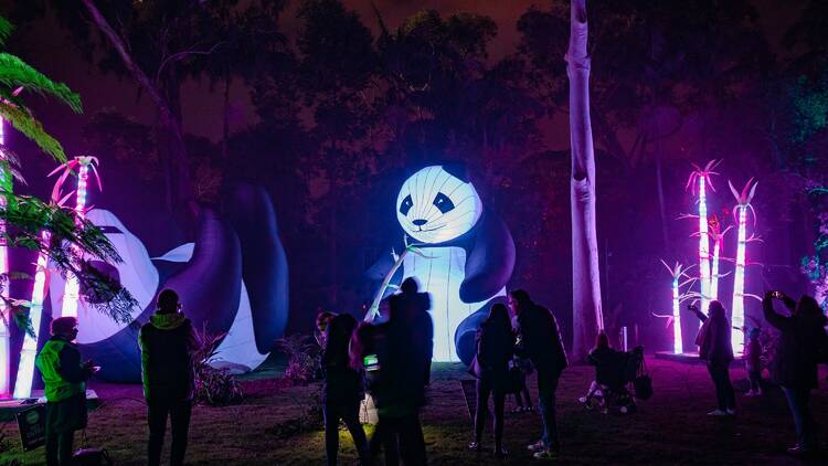 A giant lit up panda with colourful lights. 