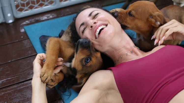A woman does yoga with two puppies sniffing her face.