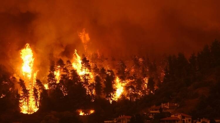 Evia Island wildfire