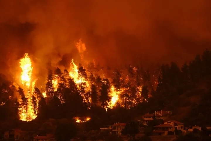 Evia Island wildfire