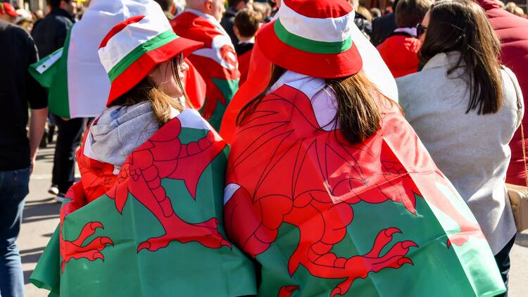 Welsh rugby fans 