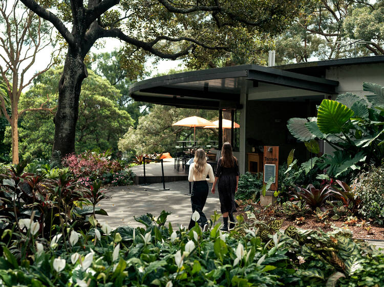 Terrace on the Domain