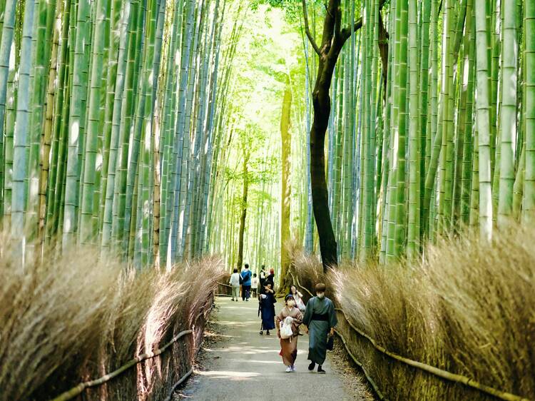 Journey west to Arashiyama