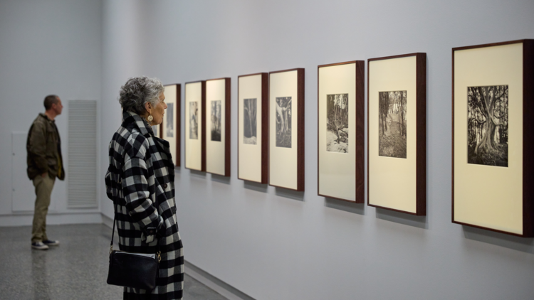 Newell Harry, Esperanto, Installation view, Murray Art Museum Albury, 2023