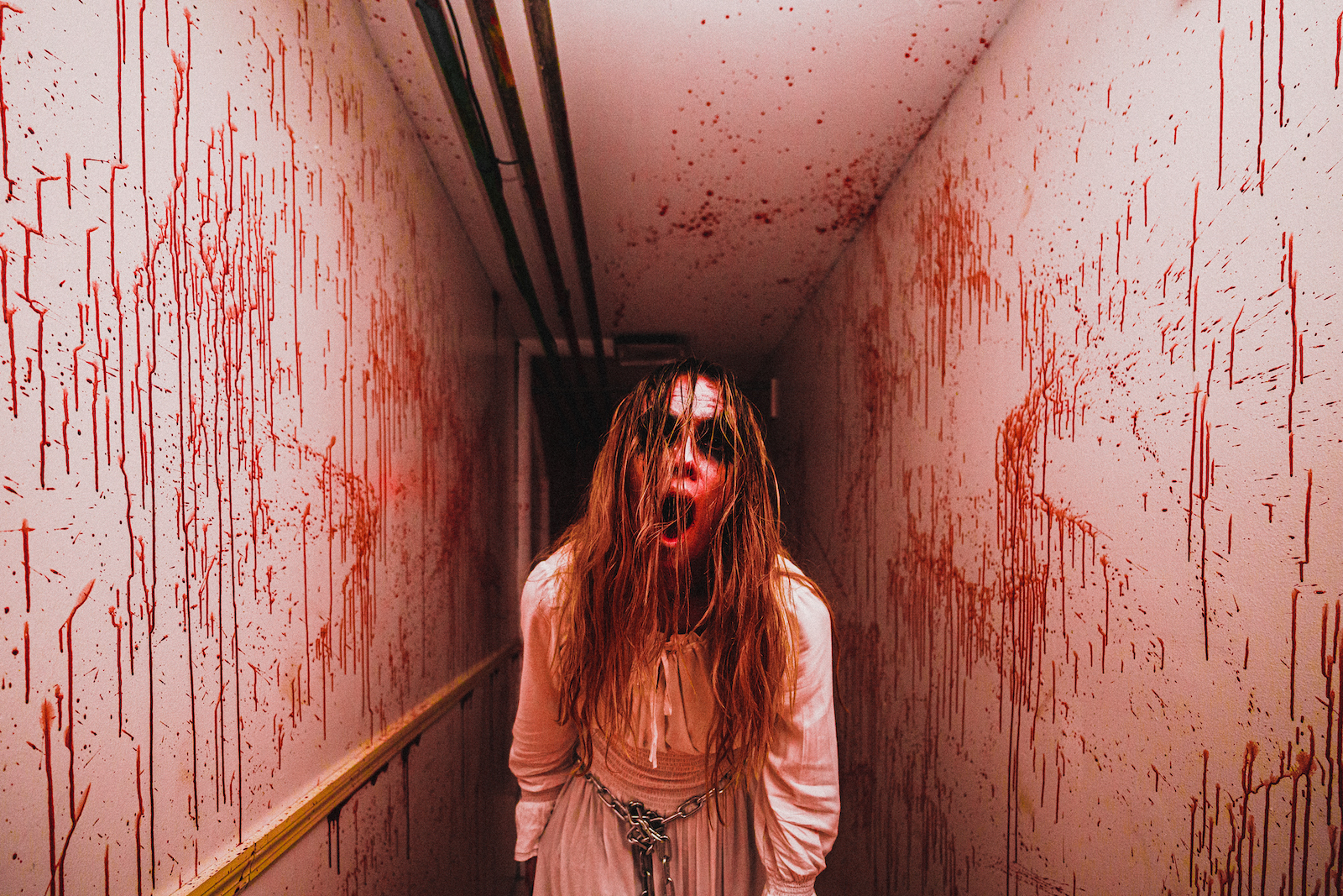 Blood Manor will scare your pants off this fall with three new spooky rooms