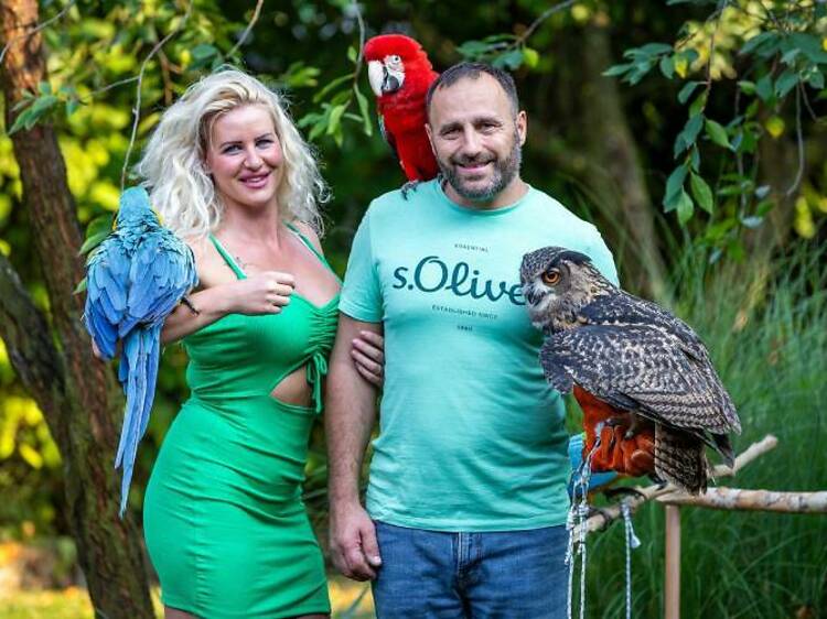 Zagreb couple set up centre for exotic birds in Slavonia