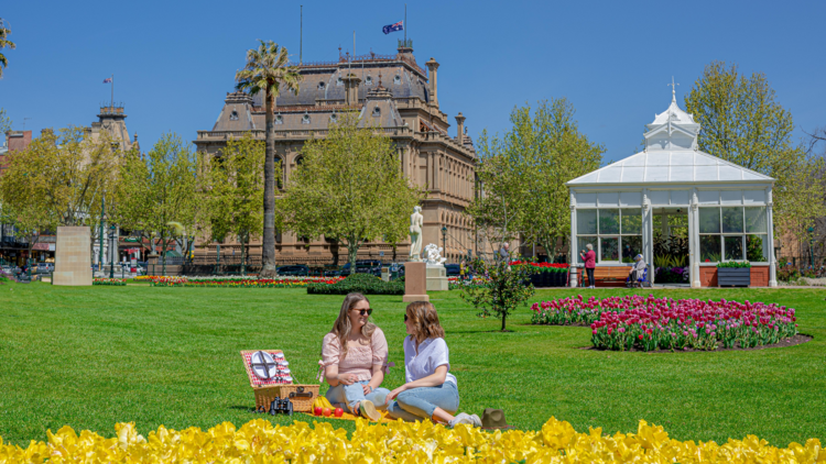 Bendigo annual tulip display